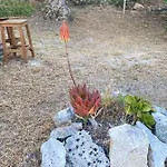 Le Dimore Di Mariuccia Relax & بيت ضيافة Monte SantʼAngelo