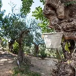 Le Dimore Di Mariuccia Relax & 4* Monte SantʼAngelo