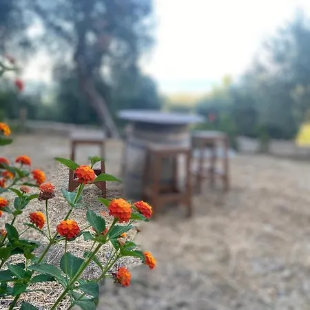 Le Dimore Di Mariuccia Relax & 招待所 圣安吉罗山
