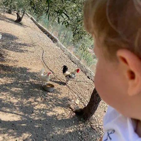 Гостевой дом Le Dimore Di Mariuccia Relax & 4*