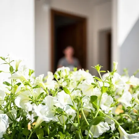بيت ضيافة Le Dimore Di Mariuccia Relax &