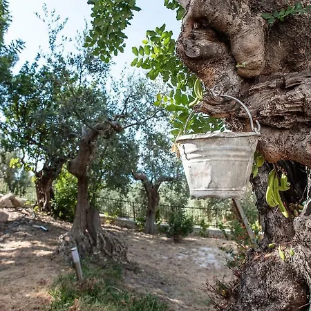Le Dimore Di Mariuccia Relax & * Monte SantʼAngelo