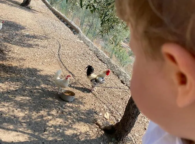 בית הארחה Le Dimore Di Mariuccia Relax & 4*