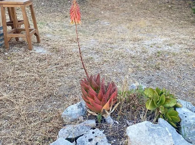 Le Dimore Di Mariuccia Relax & Πανσιόν Monte SantʼAngelo